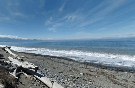 Dungeness Spit Trail